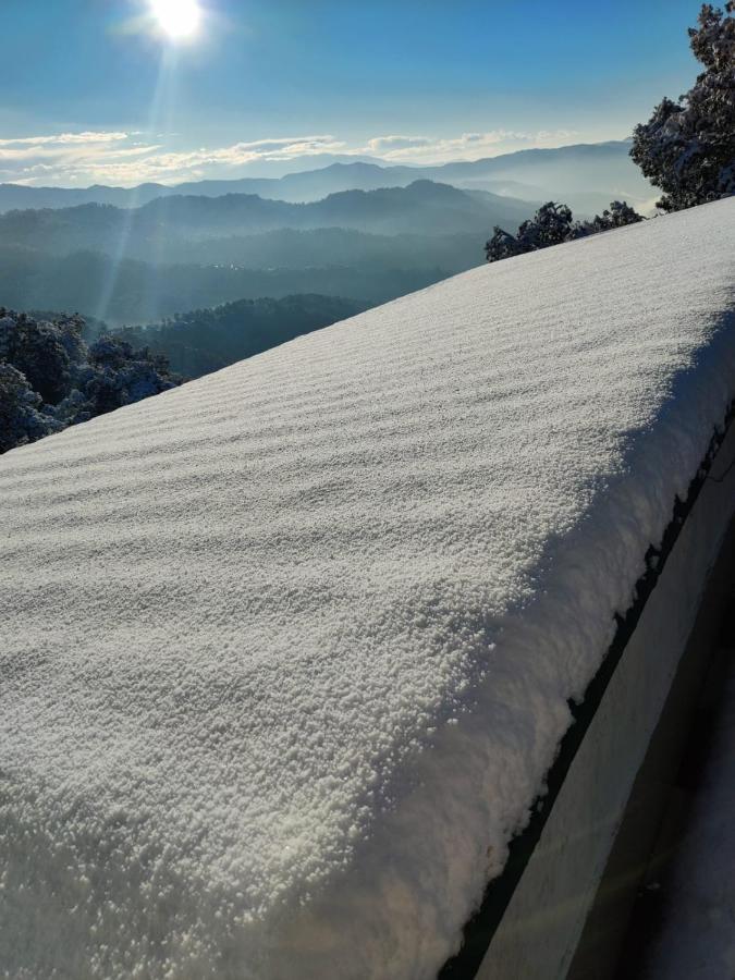 Residence Inn Homestay Shimla Esterno foto