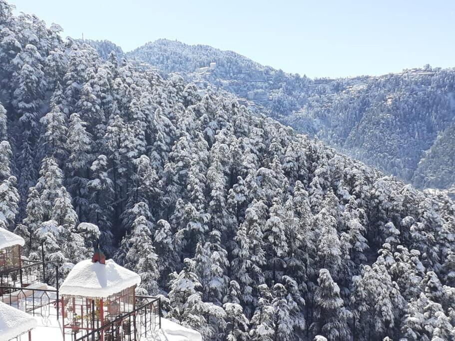 Residence Inn Homestay Shimla Esterno foto