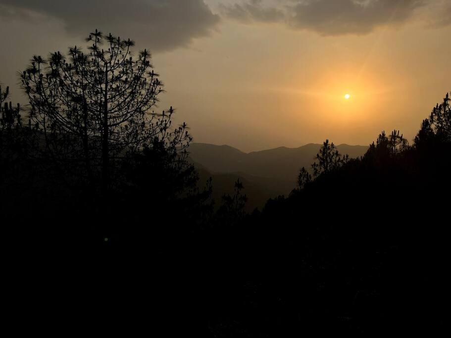 Residence Inn Homestay Shimla Esterno foto