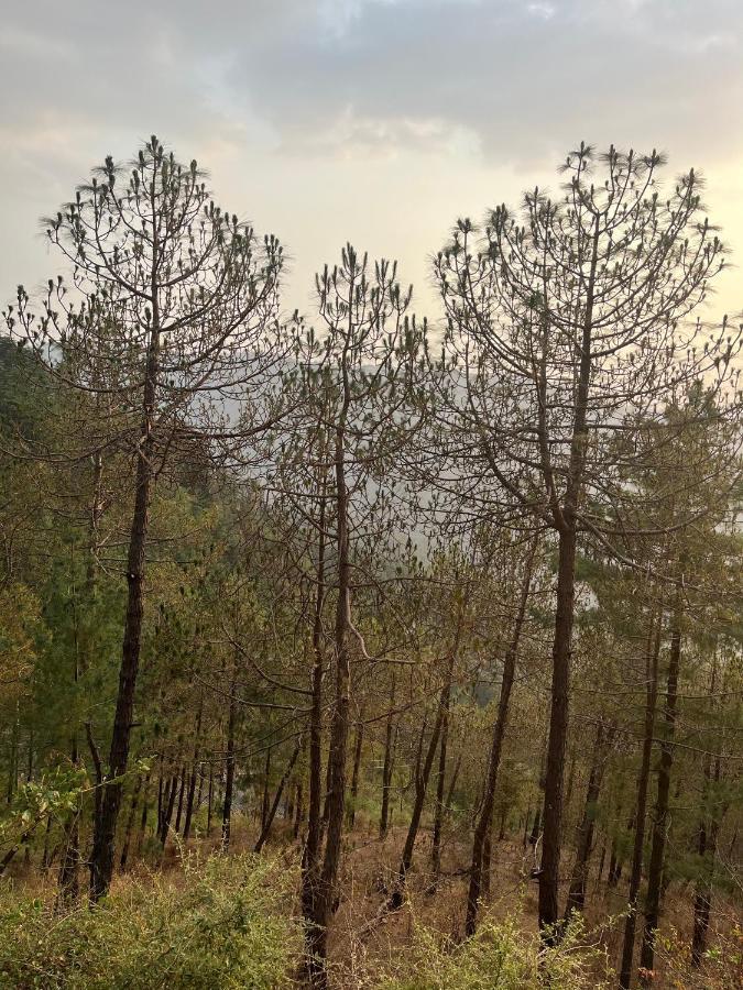 Residence Inn Homestay Shimla Esterno foto
