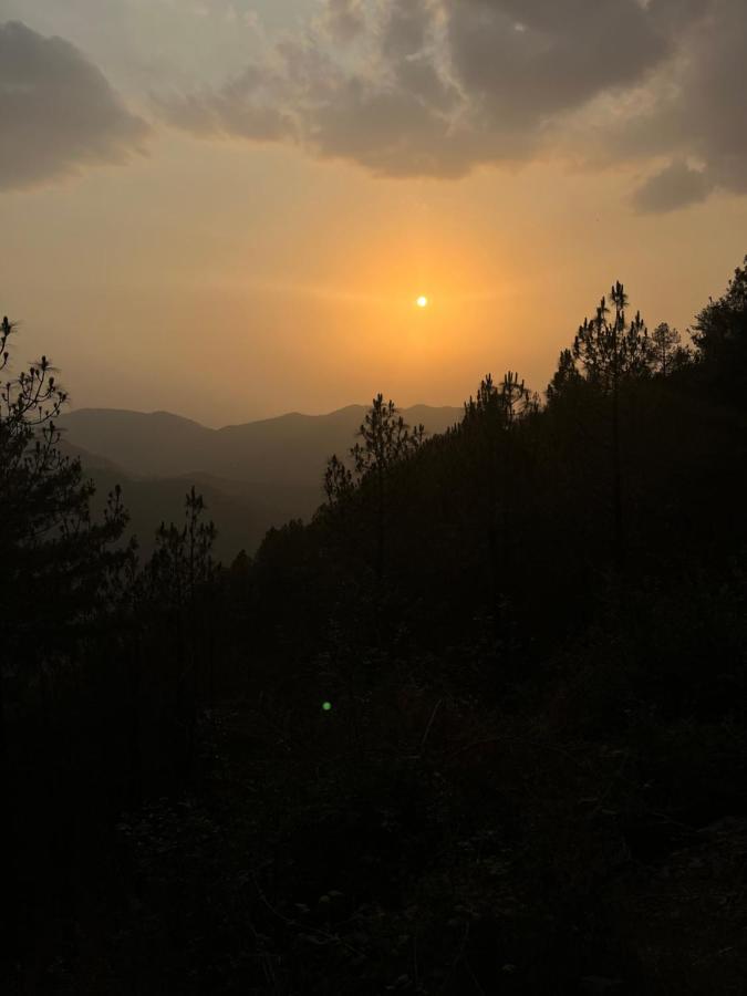 Residence Inn Homestay Shimla Esterno foto
