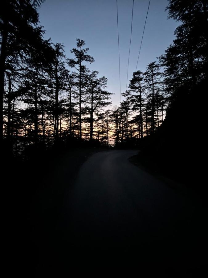 Residence Inn Homestay Shimla Esterno foto